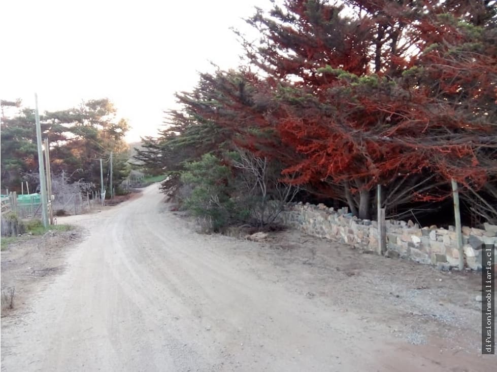 Terreno en venta en Los Vilos — foto 2
