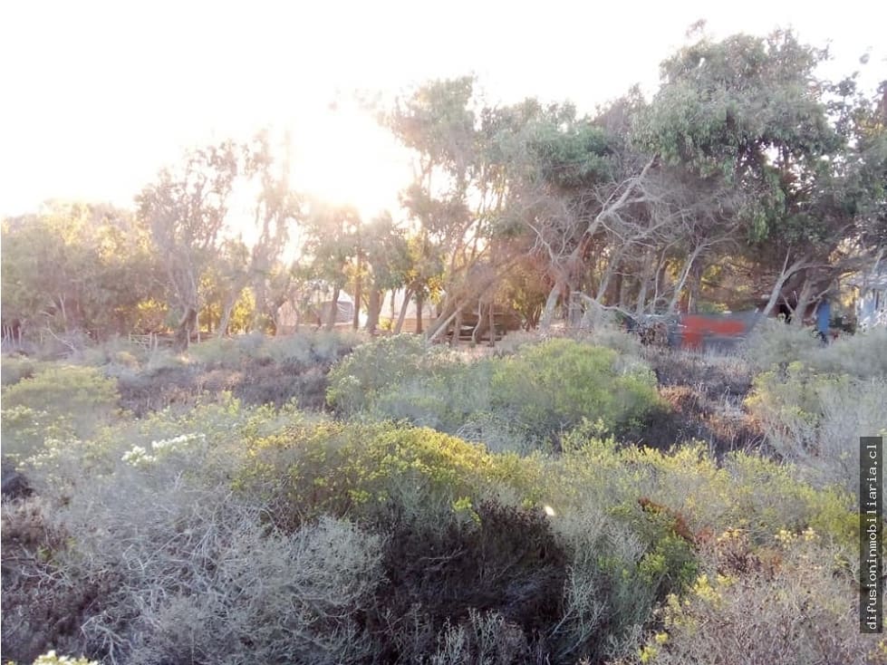 Terreno en venta en Los Vilos — foto 5