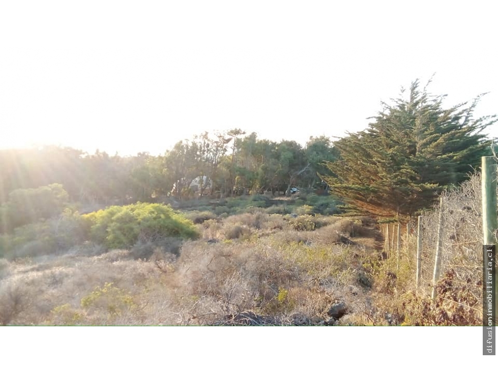 Terreno en venta en Los Vilos — foto 6