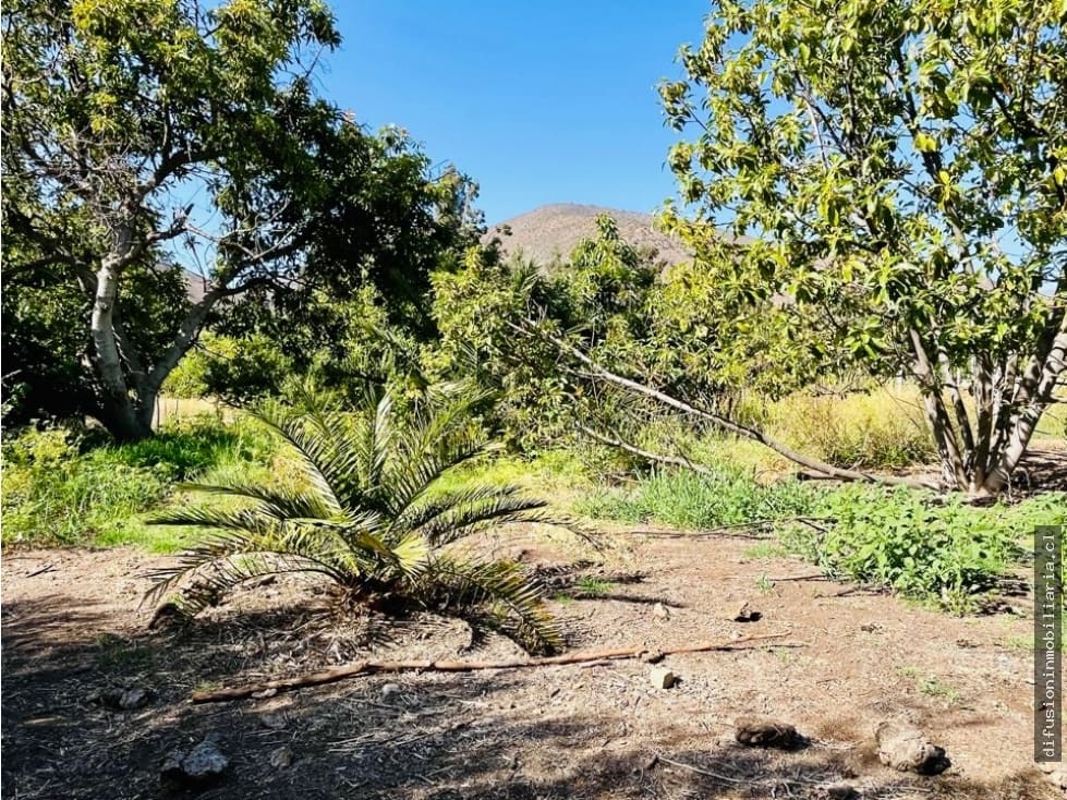 Parcela en venta en Illapel — foto 7