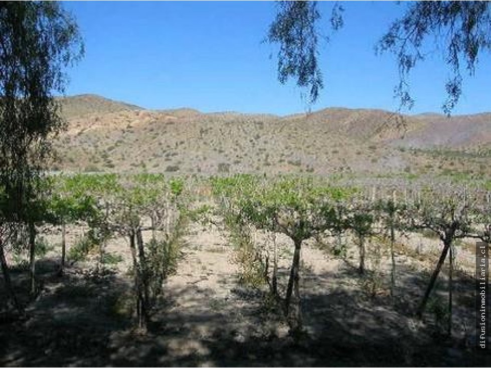 Terreno en venta en La Higuera — foto 7