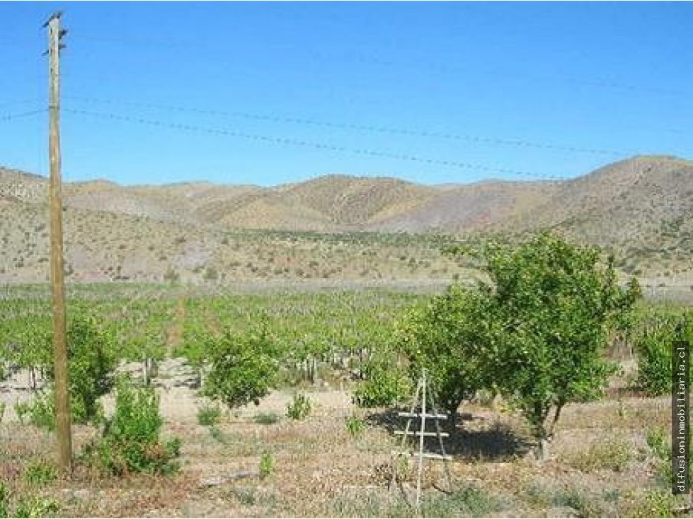 Terreno en venta en La Higuera — foto 8
