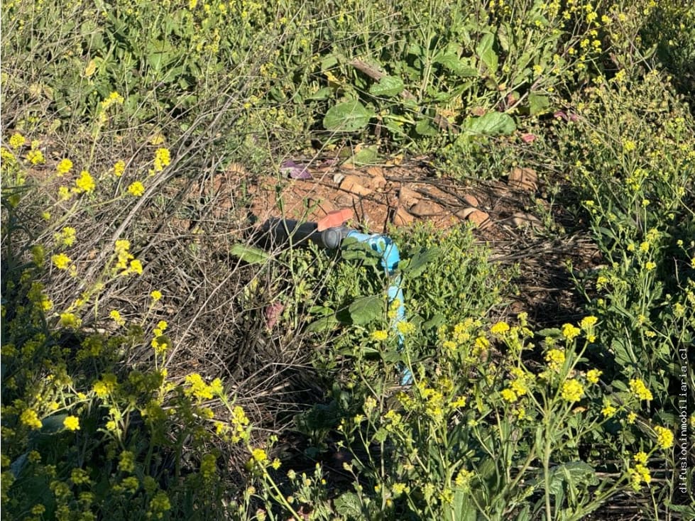 Terreno en venta en Illapel — foto 6
