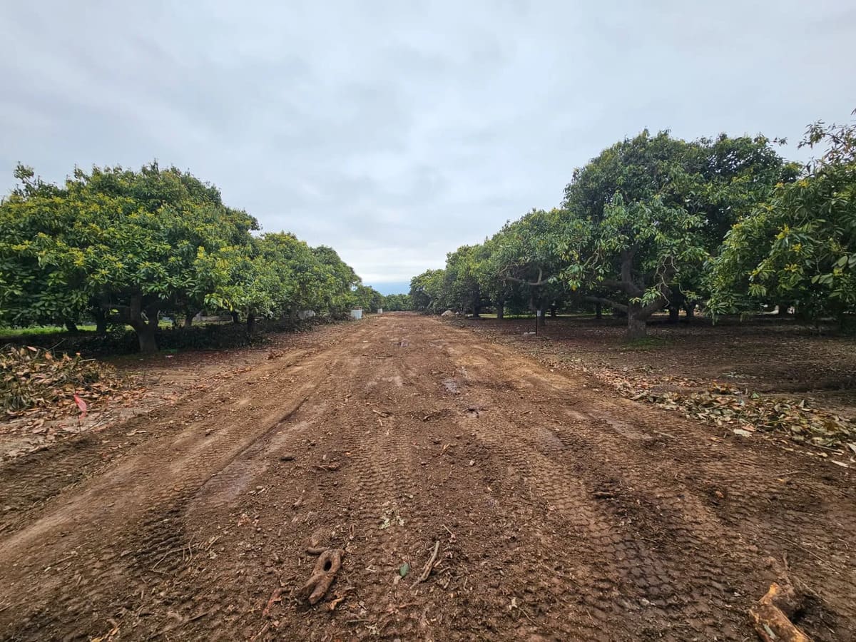 Parcela en venta en Quillota — foto 1