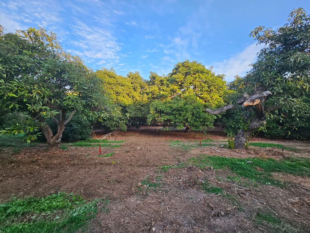 Parcela en venta en Quillota — foto 4