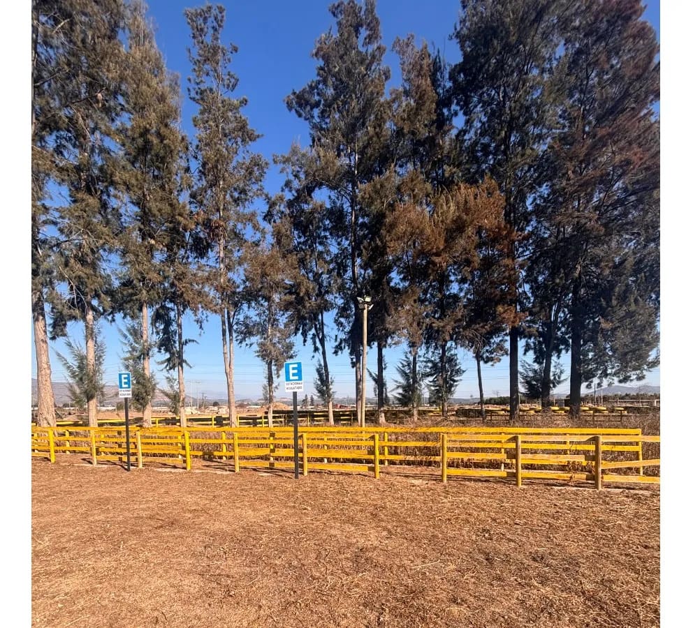 Bodega en arriendo en Quillota — foto 3