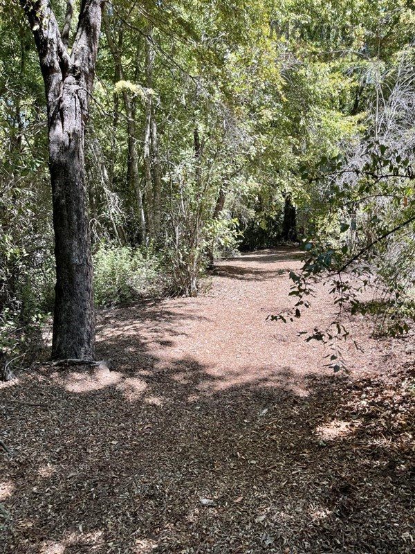 Terreno en venta en Curicó — foto 4