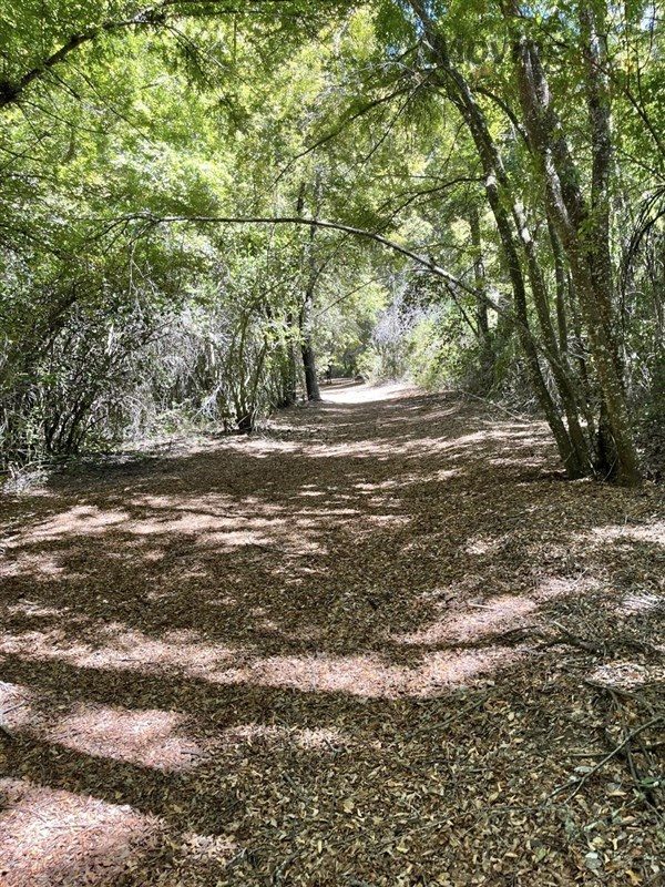 Terreno en venta en Curicó — foto 5