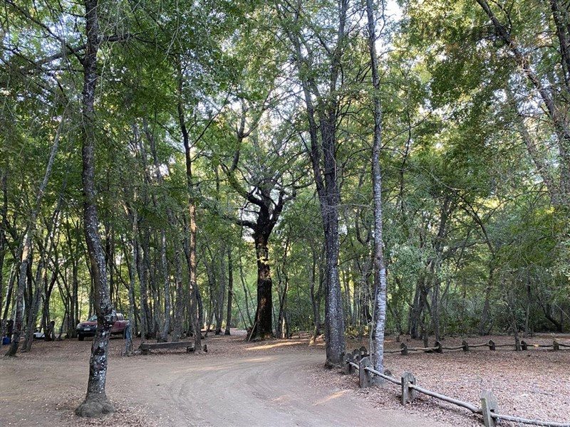 Terreno en venta en Curicó — foto 6