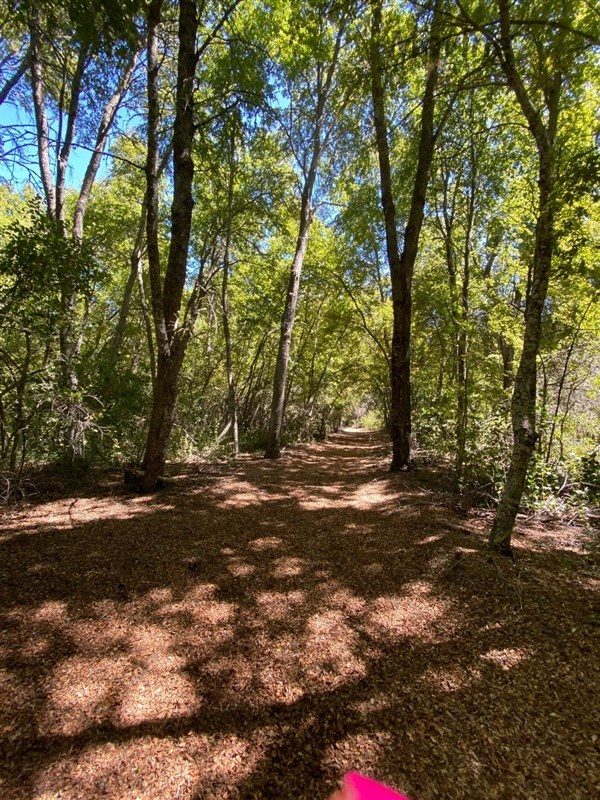 Terreno en venta en Curicó — foto 7
