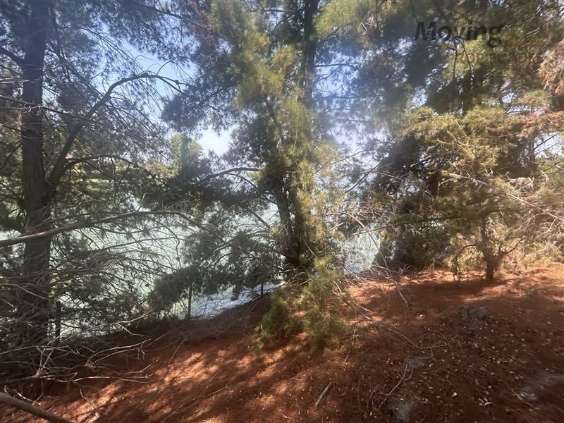 Terreno en venta en Las Cabras — foto 7