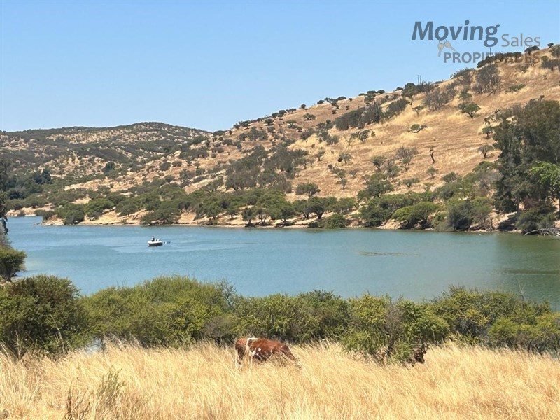 Terreno en venta en Las Cabras — foto 4