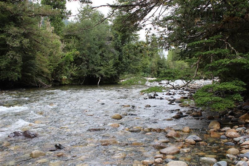 Terreno en venta en Cisnes — foto 4