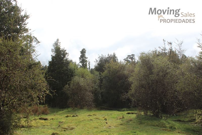 Terreno en venta en Cisnes — foto 6