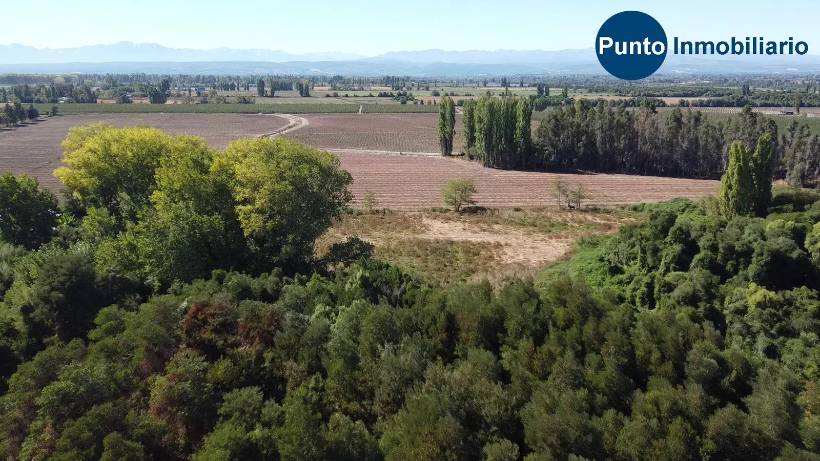 Parcela en venta en Chillán — foto 3