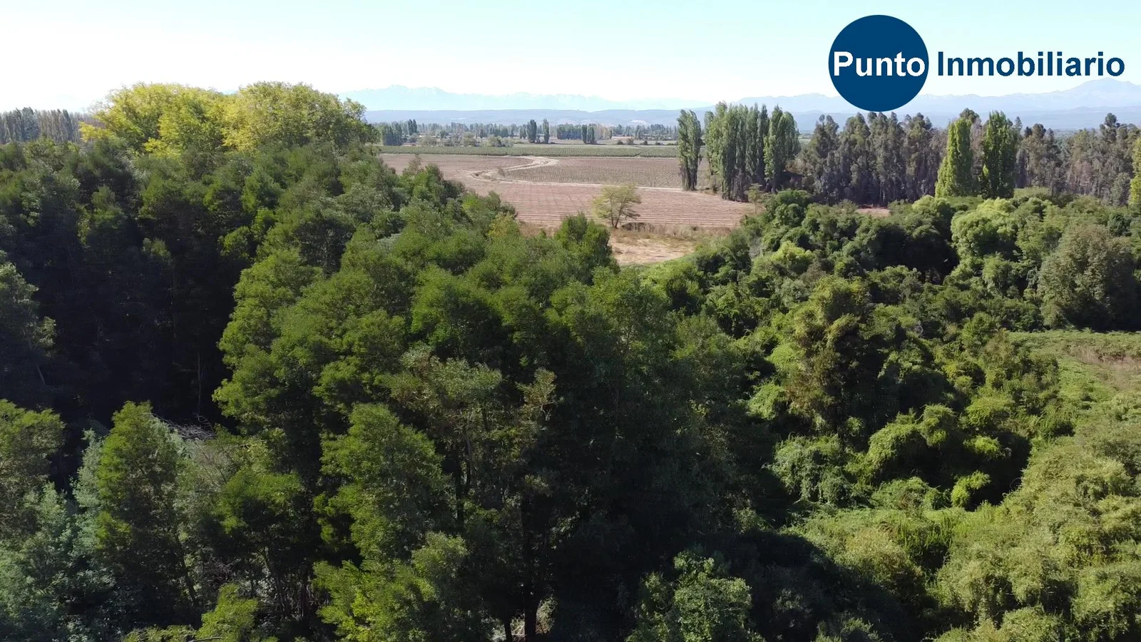 Parcela en venta en Chillán — foto 4