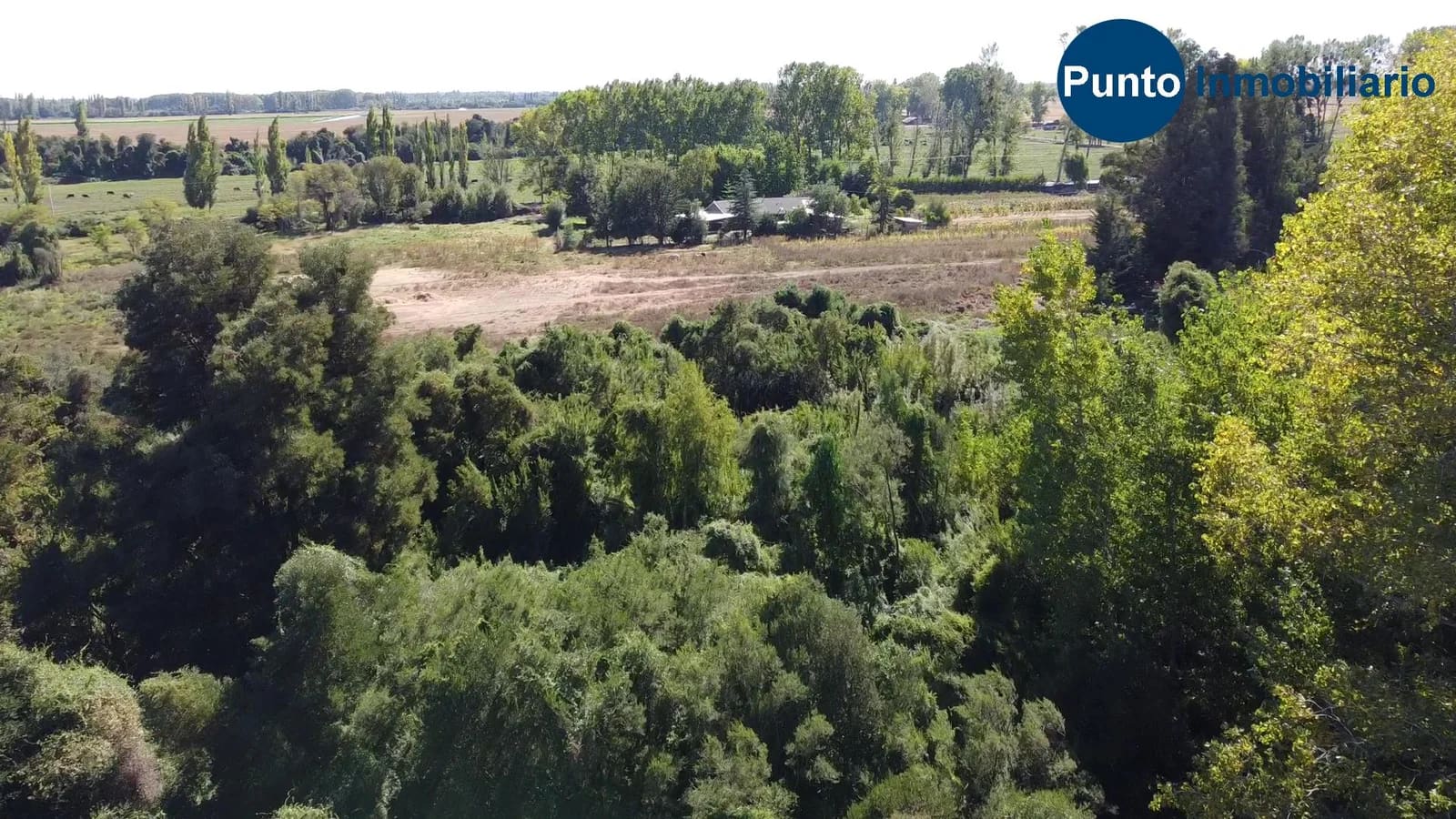 Parcela en venta en Chillán — foto 6
