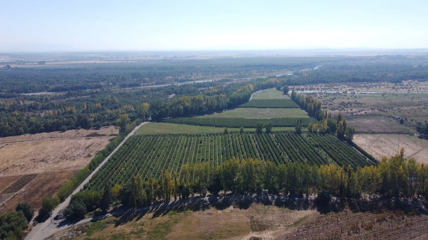 Parcela en venta en Chillán — foto 10