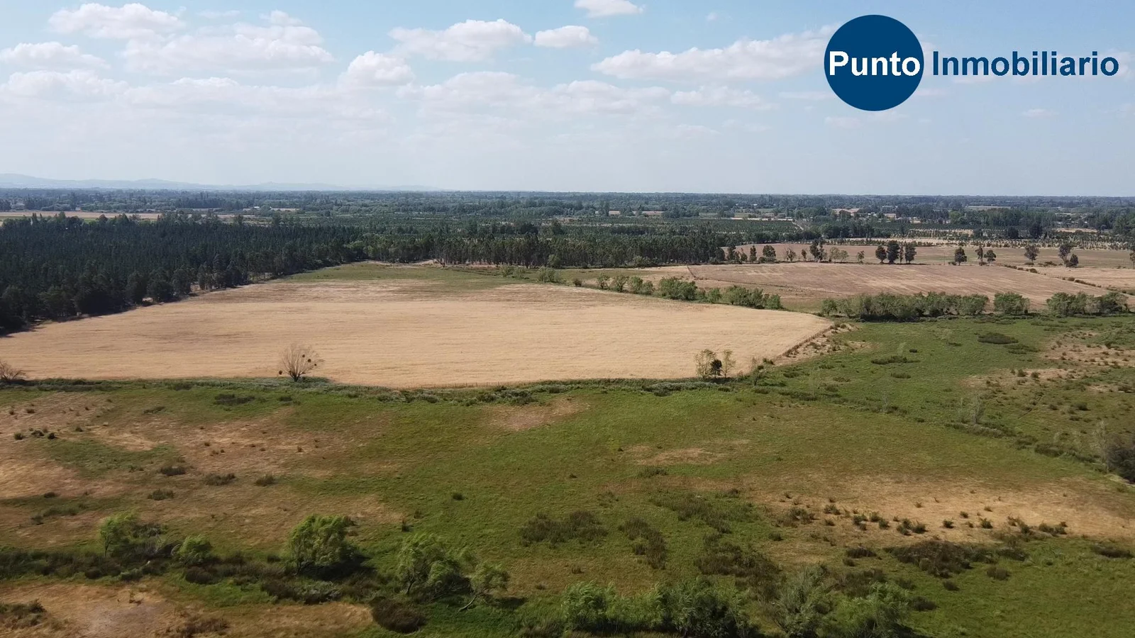 Parcela en venta en San Nicolás — foto 2