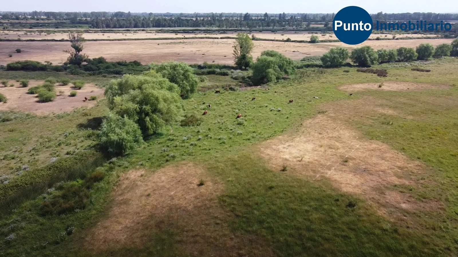 Parcela en venta en San Nicolás — foto 8