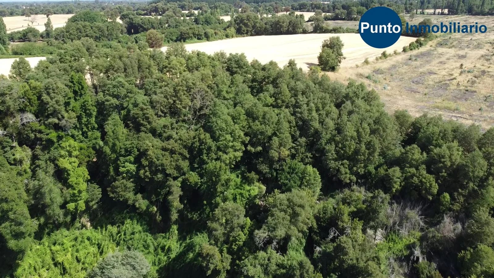 Parcela en venta en Pemuco — foto 3