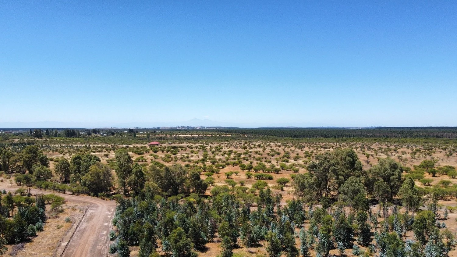 Parcela en venta en San Nicolás — foto 4