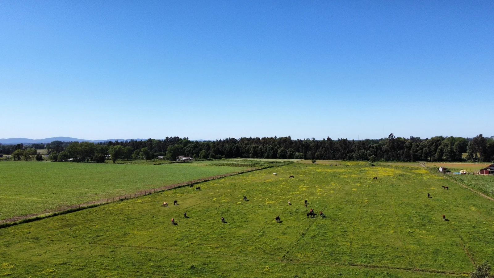 Terreno en venta en Chillán — foto 2