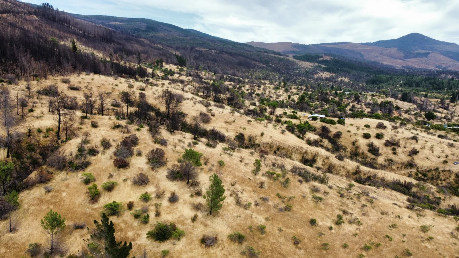 Parcela en venta en Ninhue — foto 3