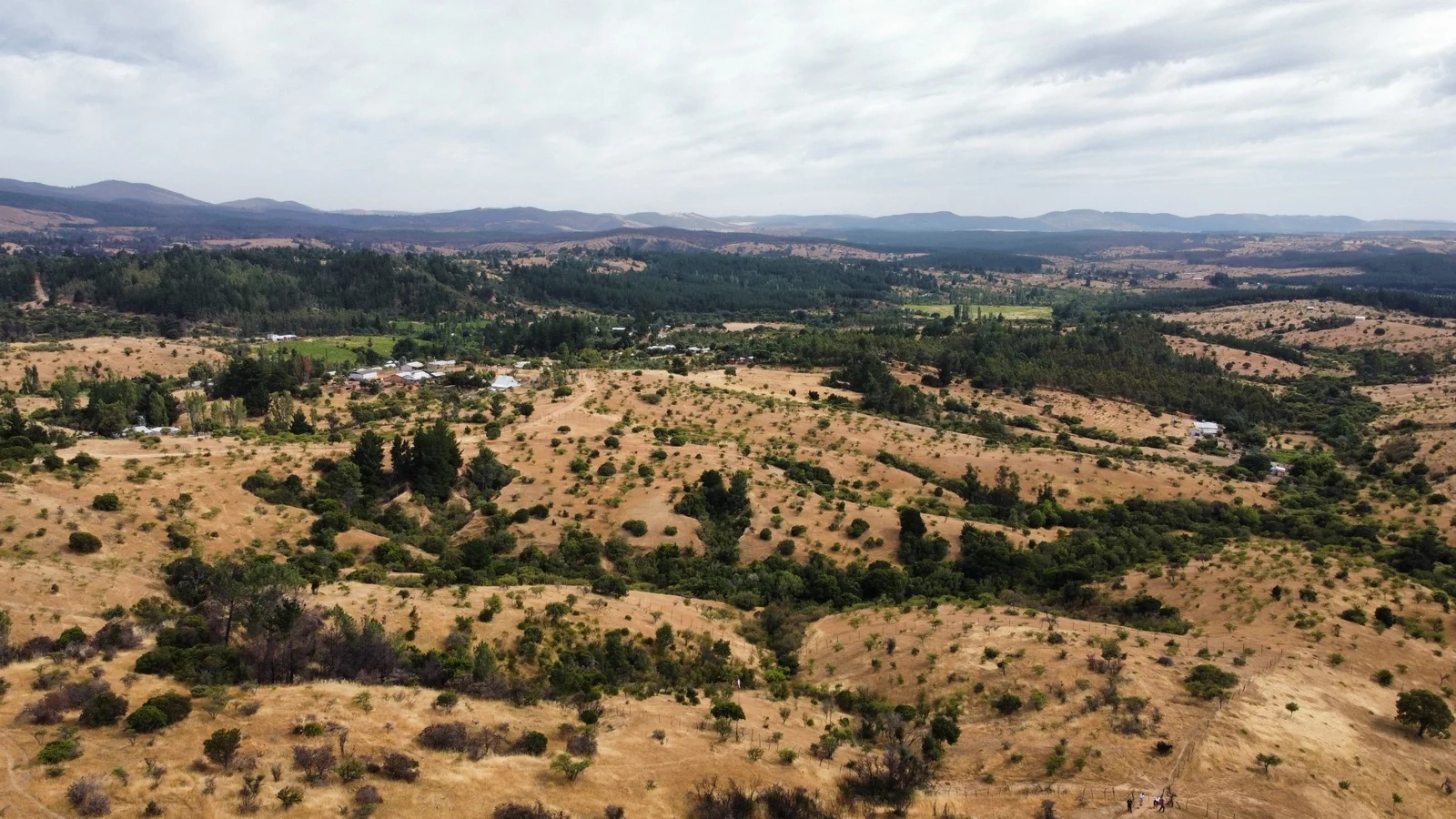 Parcela en venta en Ninhue — foto 4