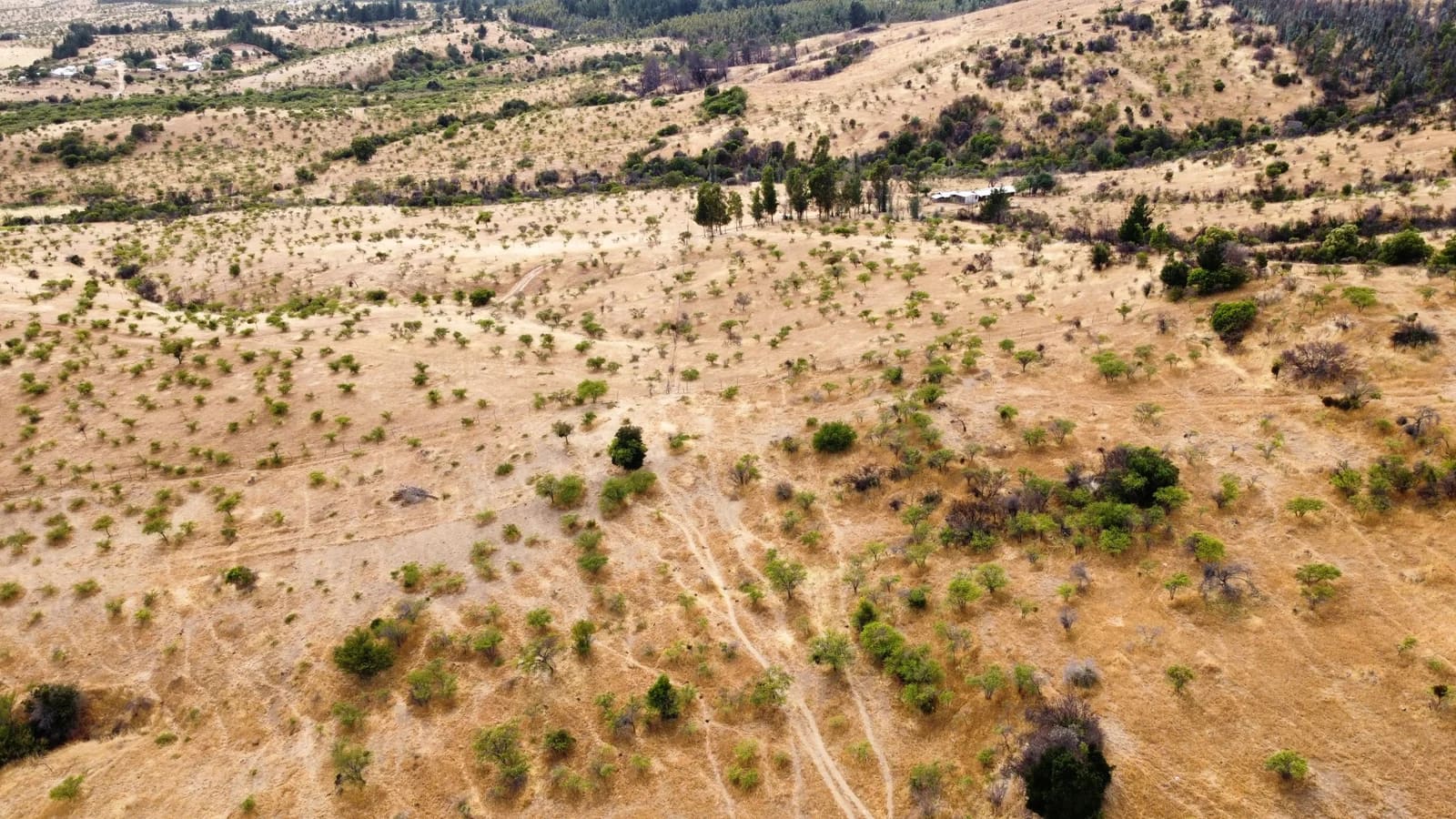 Parcela en venta en Ninhue — foto 5