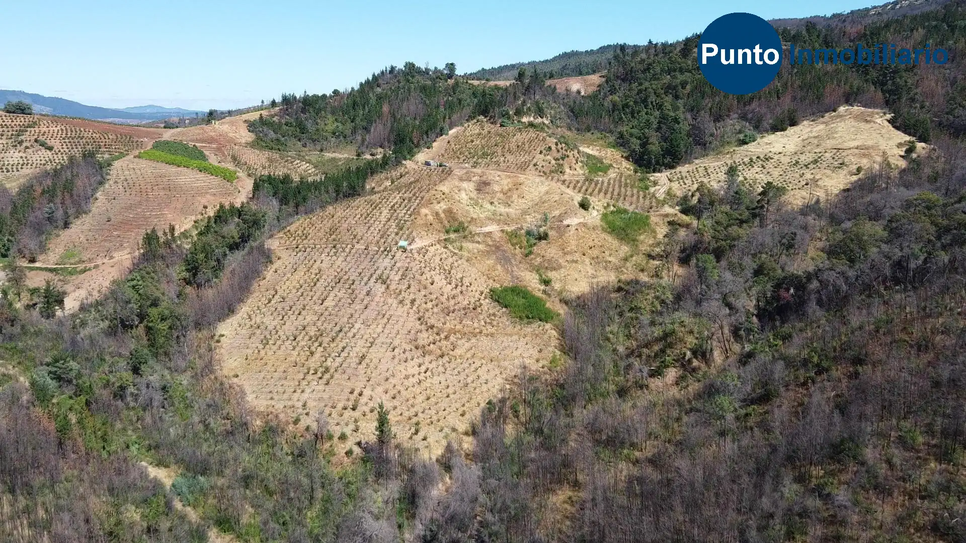 Parcela en venta en Quillón — foto 4
