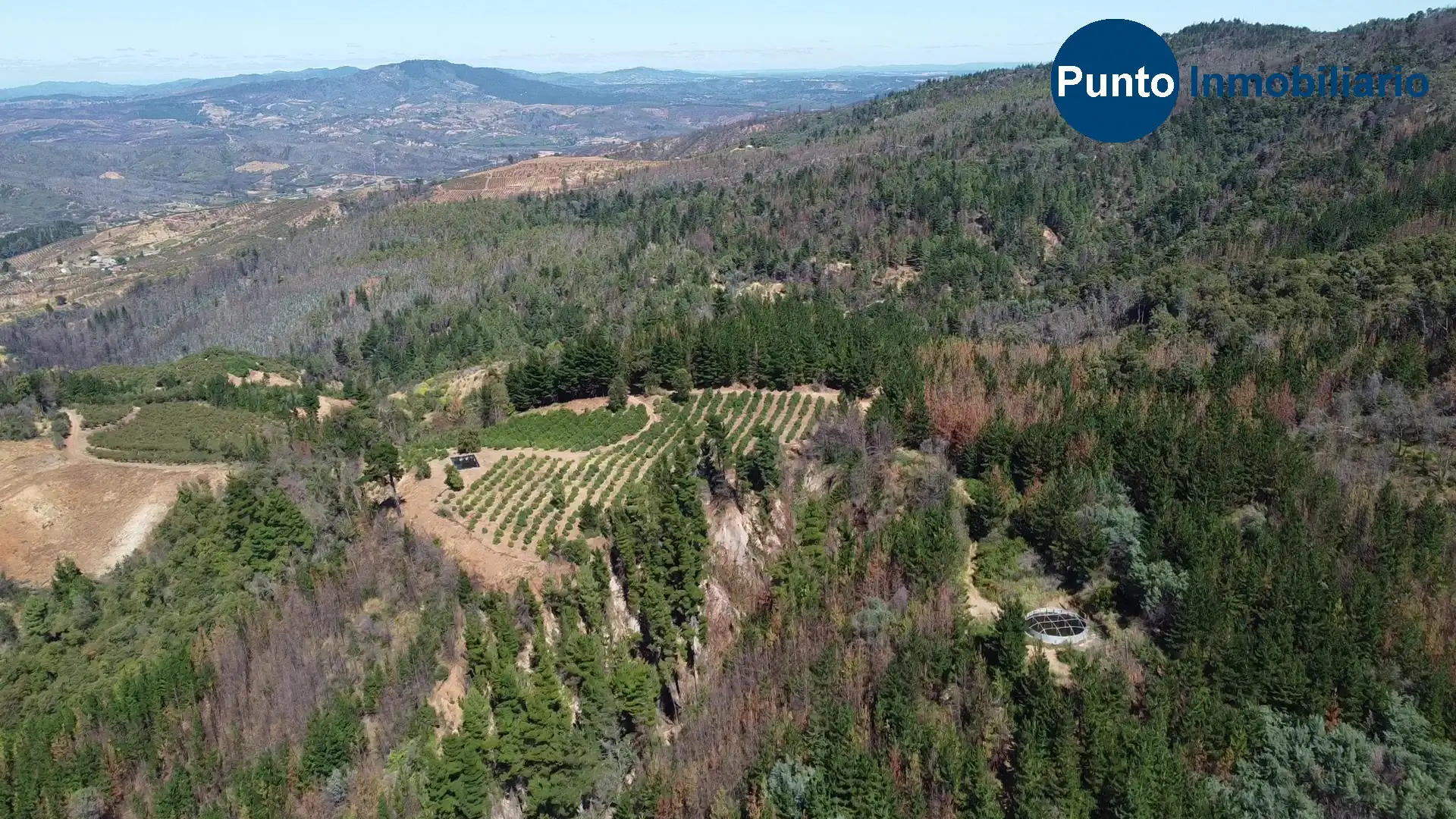 Parcela en venta en Quillón — foto 6