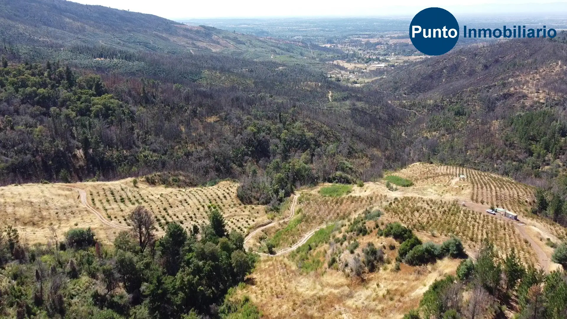 Parcela en venta en Quillón — foto 8