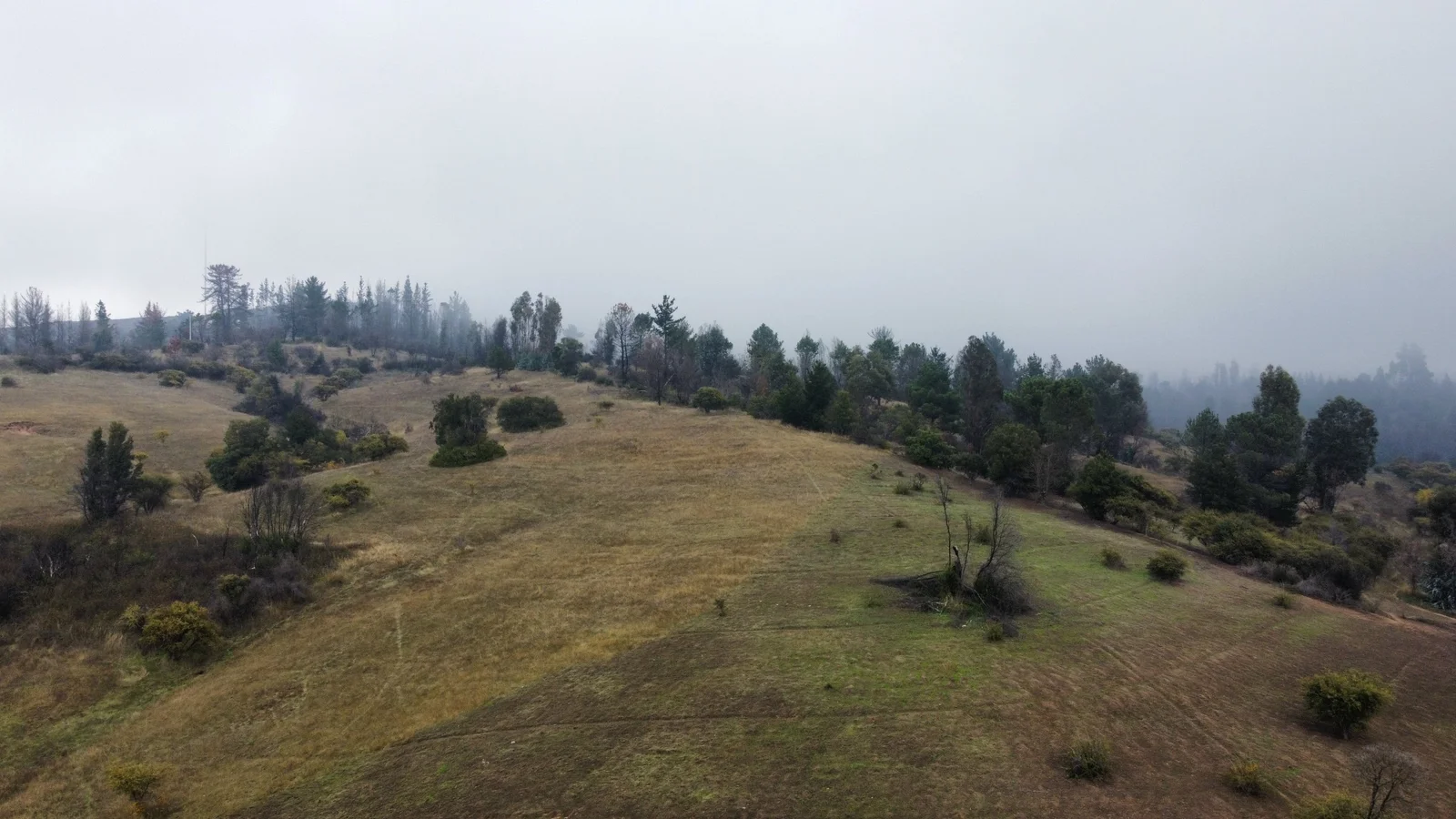 Parcela en venta en Ránquil — foto 2