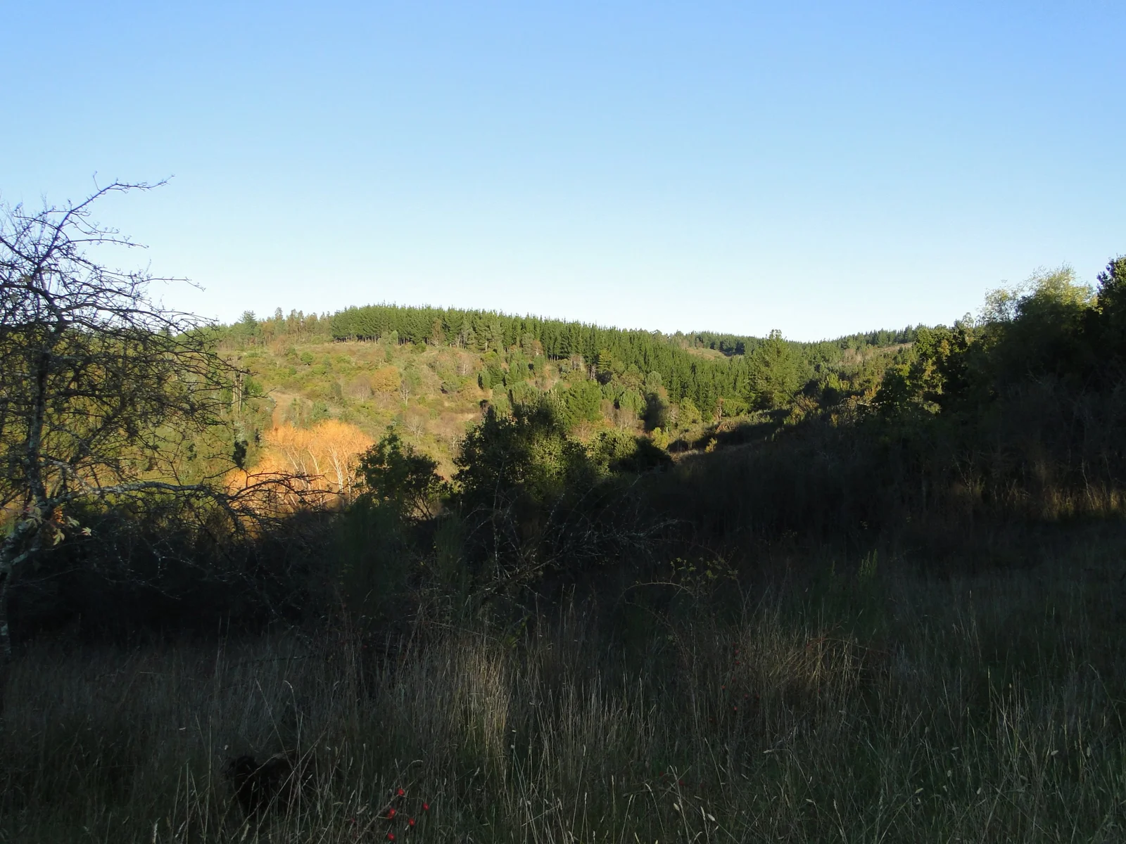 Parcela en venta en Quirihue — foto 2