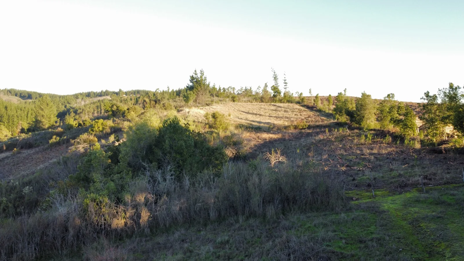 Parcela en venta en Quirihue — foto 6