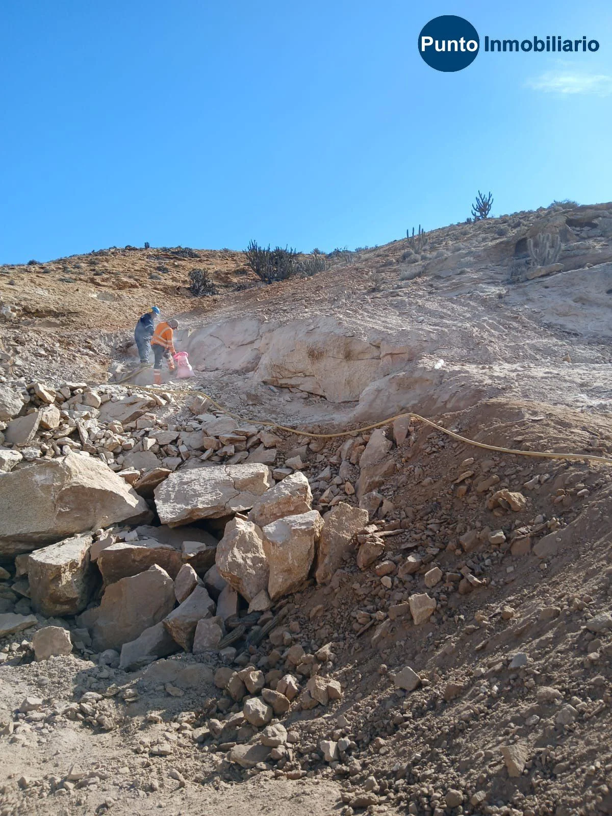 Terreno en venta en Caldera — foto 8