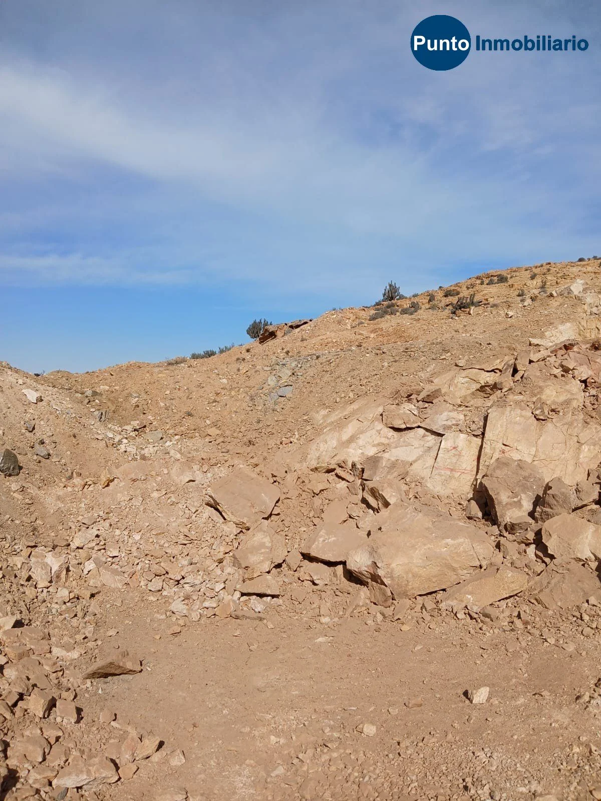 Terreno en venta en Caldera — foto 9