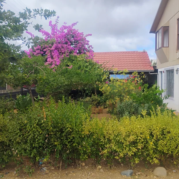 Parcela en venta en Quirihue — foto 3