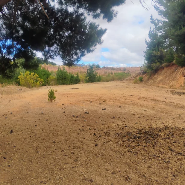 Parcela en venta en Quirihue — foto 5