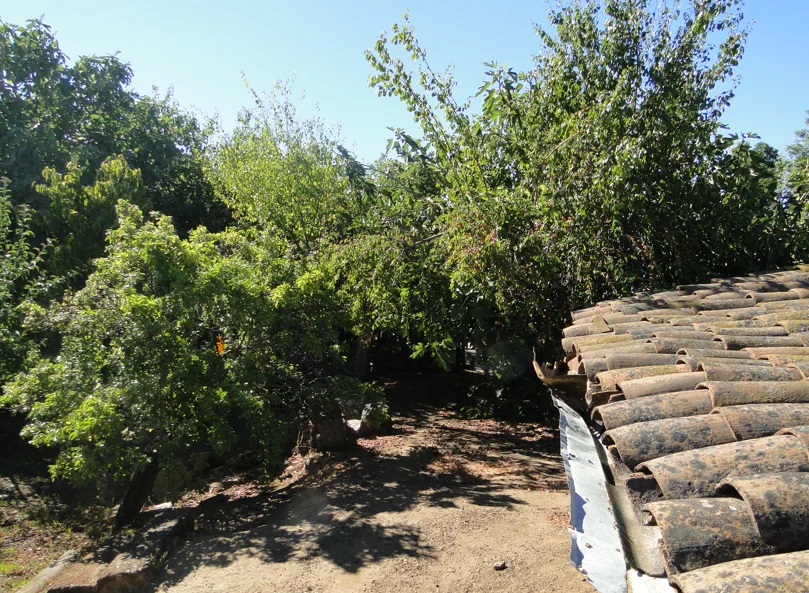 Casa en venta en Quirihue — foto 7