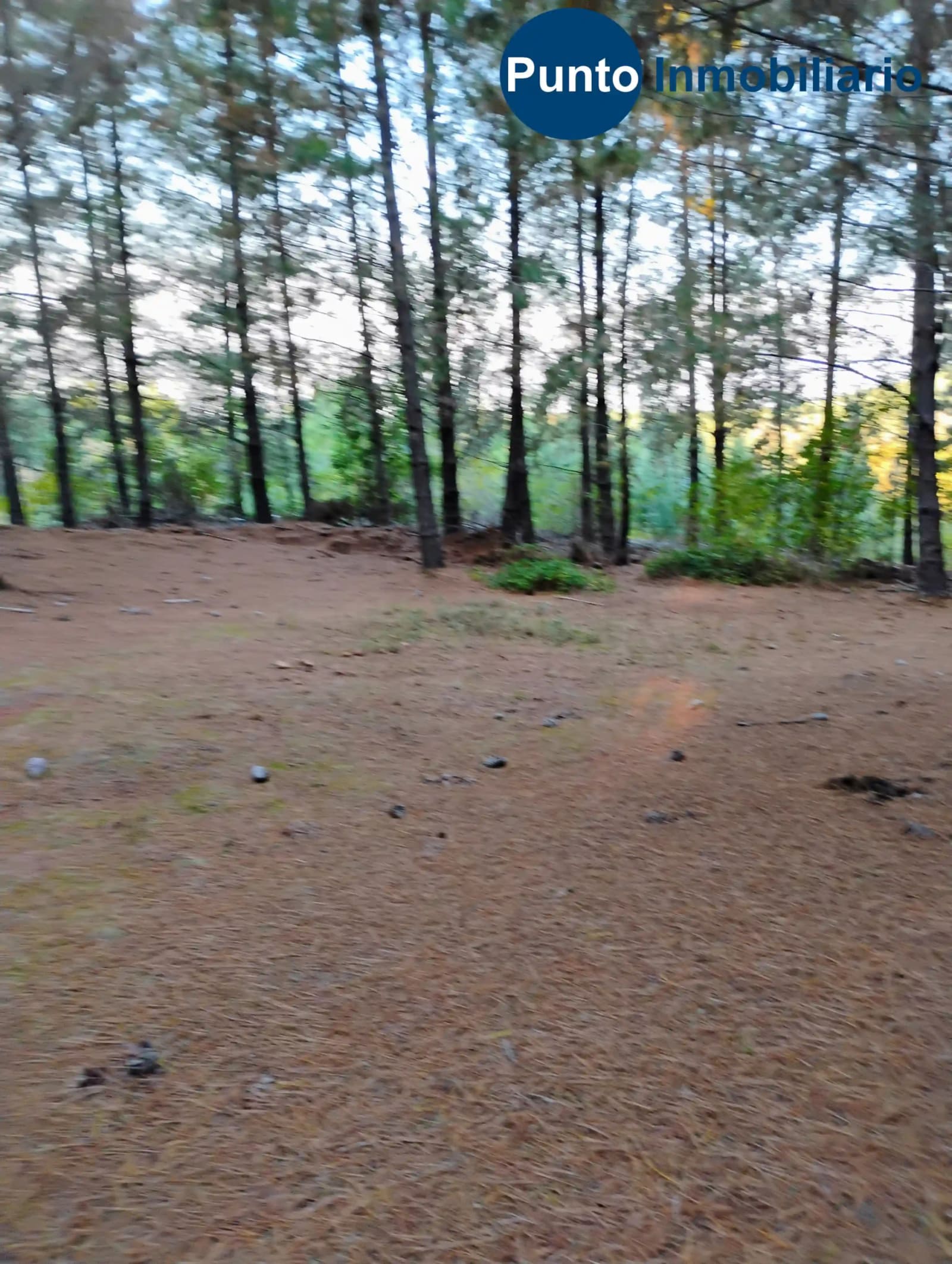 Parcela en venta en Quirihue — foto 7
