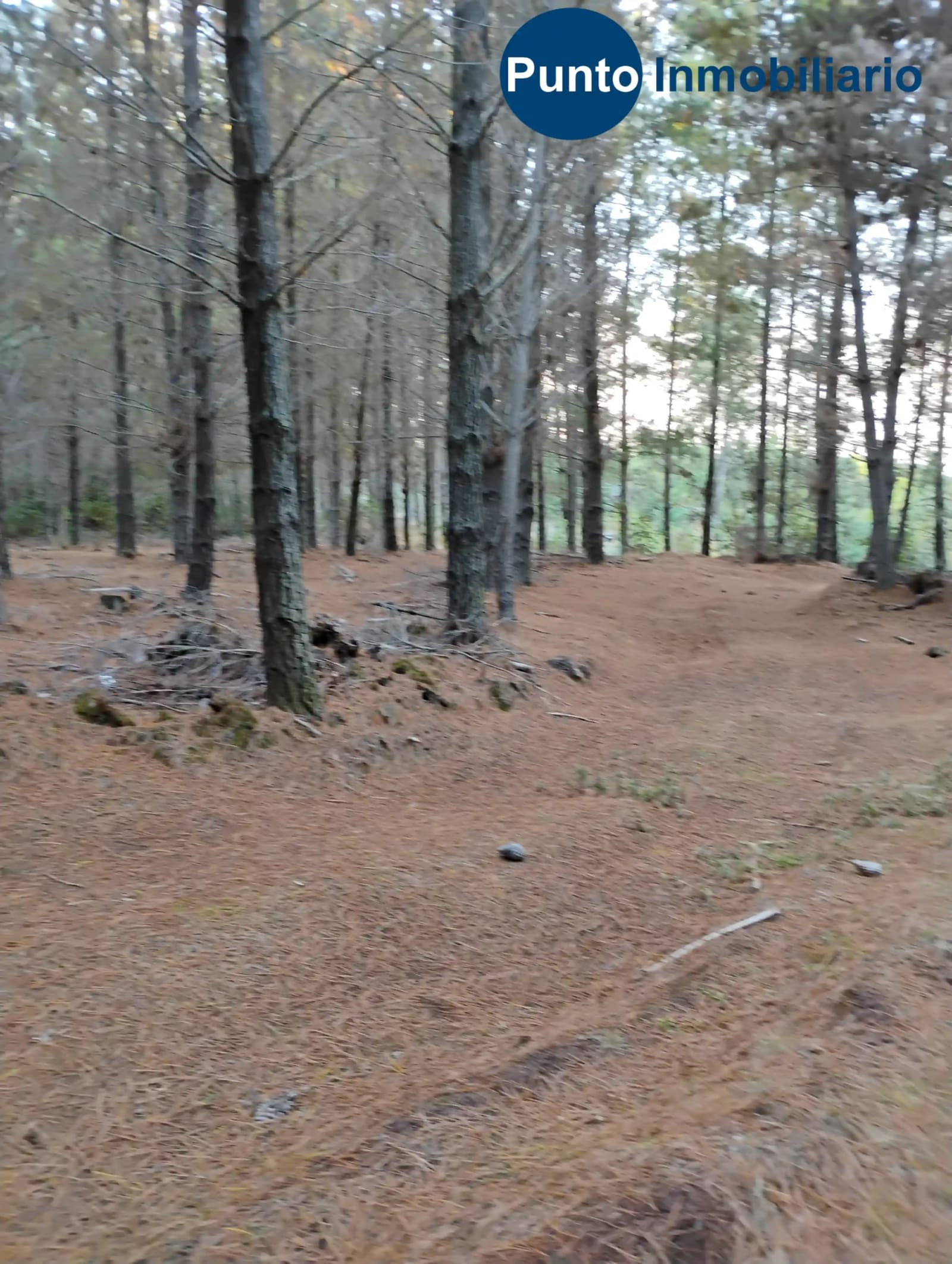 Parcela en venta en Quirihue — foto 8