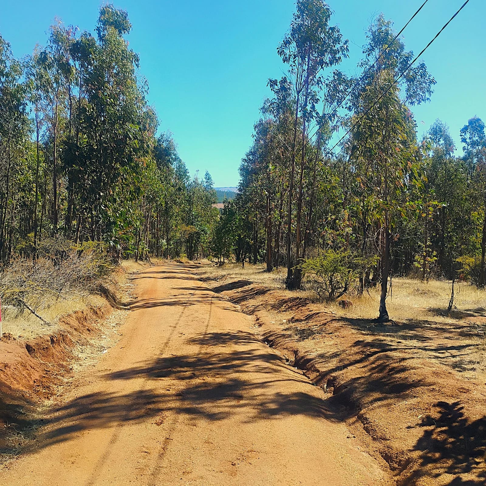 Terreno en venta en San Nicolás — foto 1