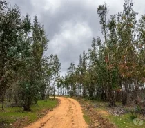 Terreno en venta en San Nicolás — foto 2