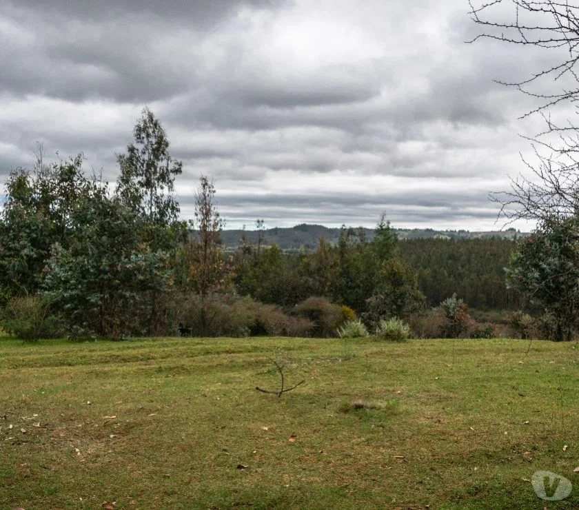 Terreno en venta en San Nicolás — foto 3