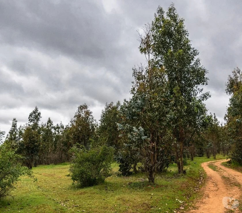 Terreno en venta en San Nicolás — foto 4