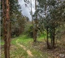 Terreno en venta en San Nicolás — foto 6