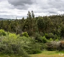 Terreno en venta en San Nicolás — foto 7