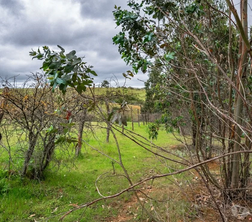 Terreno en venta en San Nicolás — foto 9